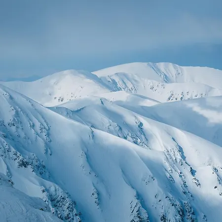 アパート Kvasnicnik