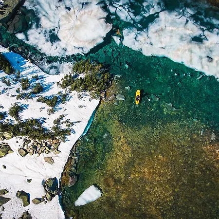 Kvasnicnik デマノブスカ・ドリーナ