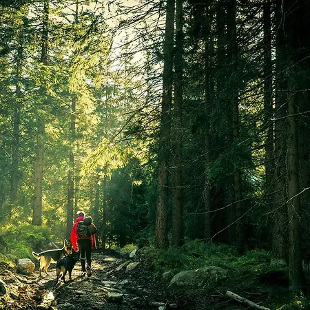 Kvasnicnik Demänovská Dolina