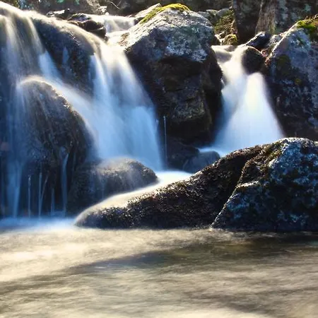 Lejlighed Kvasnicnik *
