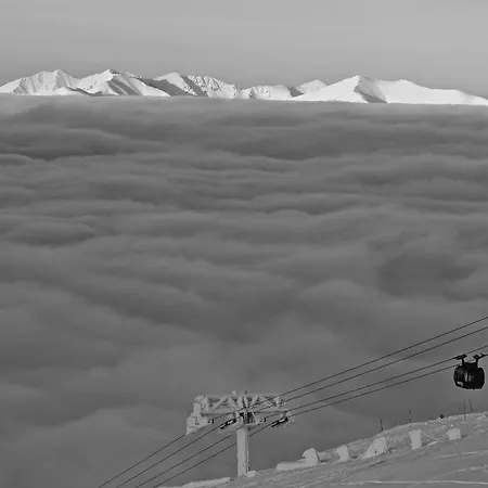 Kvasnicnik デマノブスカ・ドリーナ