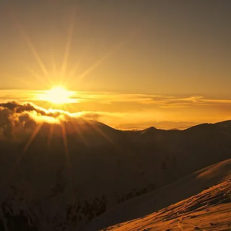 Kvasnicnik デマノブスカ・ドリーナ